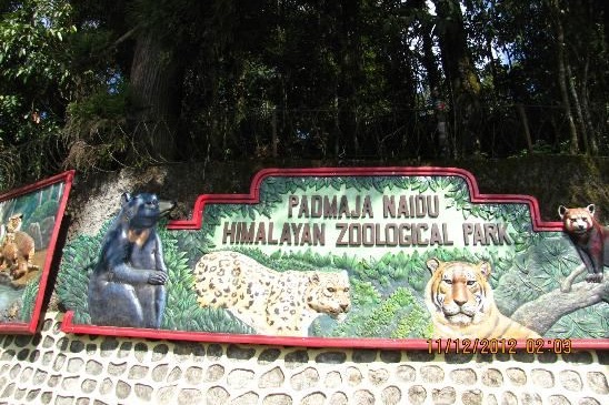 Padmaja Naidu Zoological Park Darjeeling